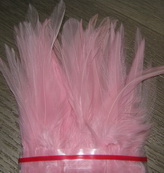 Strong rooster saddle pink
